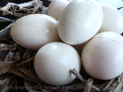 How to paint plastic eggs to look real for Easter decor