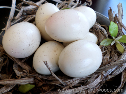 These eggs aren't real! Learn how to paint plastic eggs to look real!