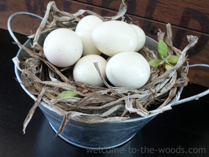 How to create a birds nest and faux eggs.