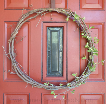 spring grapevine wreath