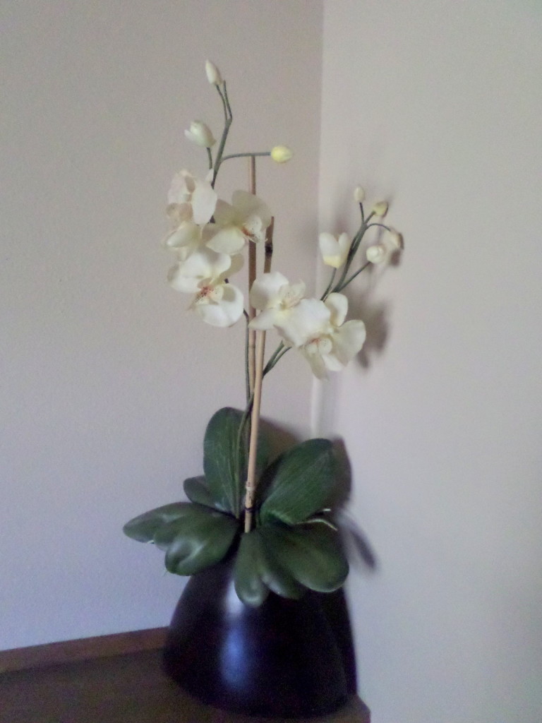 fake orchid