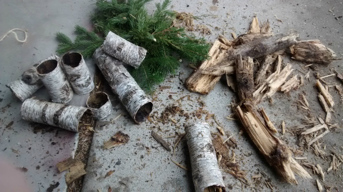 Birch tree and evergreen cuttings for free Christmas decor