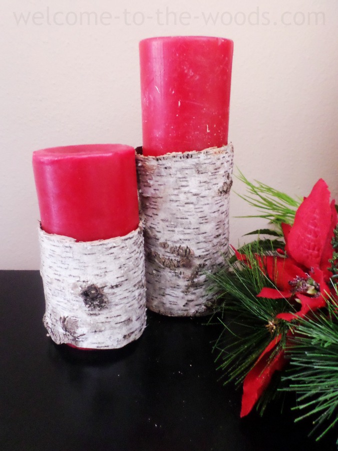 Cut birch bark to encase your candles and give them a winter vibe.