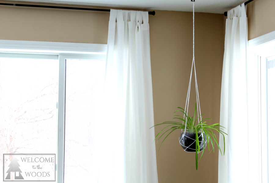 Fill your awkward corners with plants, especially hanging plants like this beautiful, modern spider plant.