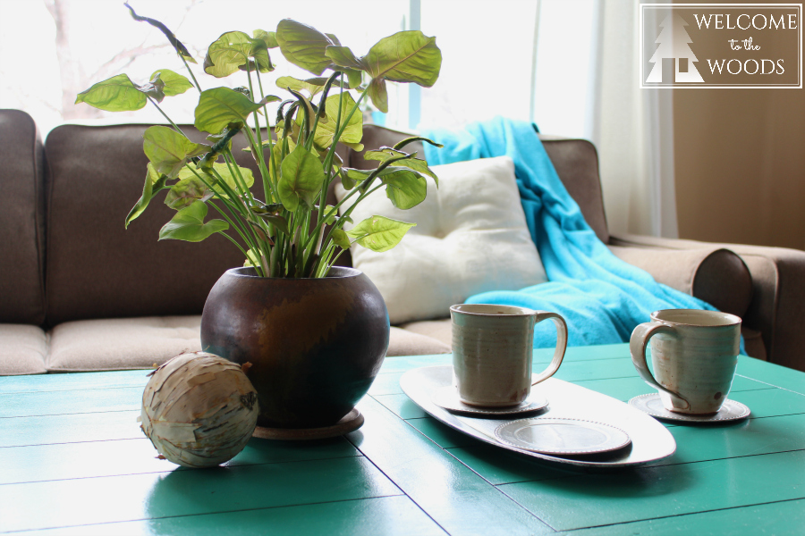 Displaying pottery in your living room on your coffee table mugs and planter bowl.