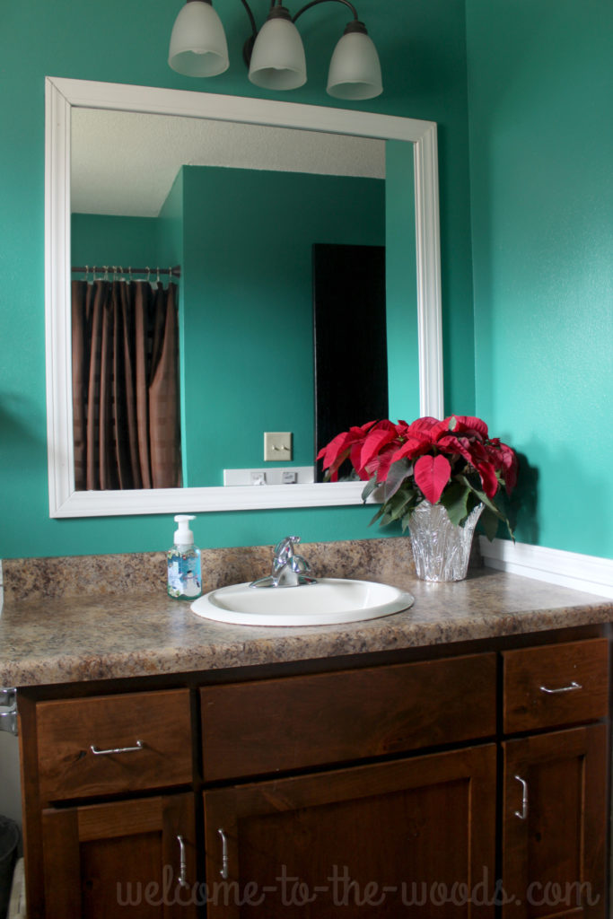 Bathroom Christmas decor, poinsettia on the counter.