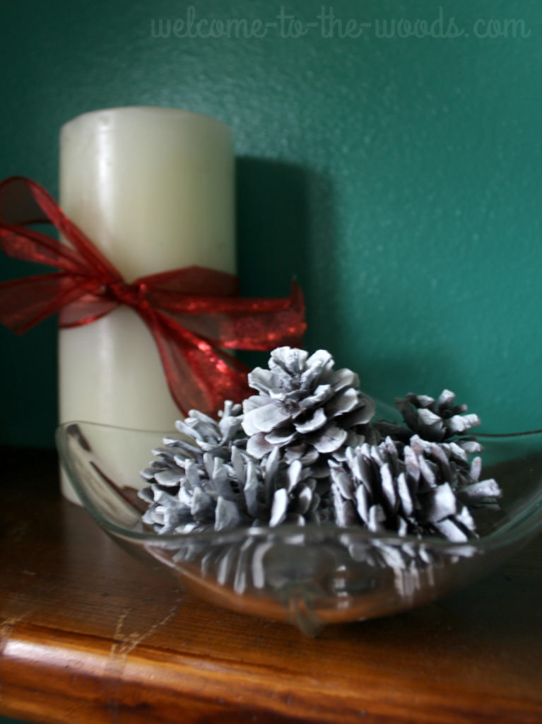 A simple bowl of pine cones painted white can make a beautiful tabletop decoration for Christmas or winter.